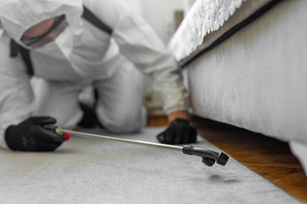 Professional Cockroach Control technician working in Hull, IA