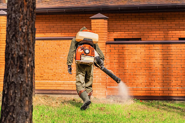 Top rated local Cockroach Control specialists in Hull, IA
